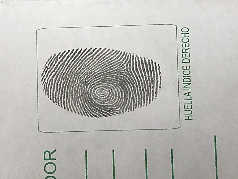 Inicio dactiloscopia 1