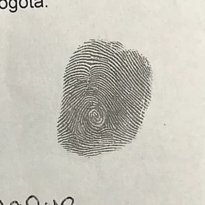 dactiloscopia 4 (1)